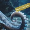 Most content creators see just the octopus. I see all the legs, in parallel.